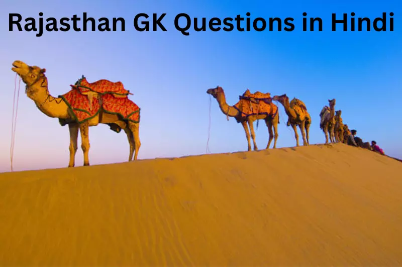 A group of camels stands majestically atop a sand dune, silhouetted against a clear blue sky.