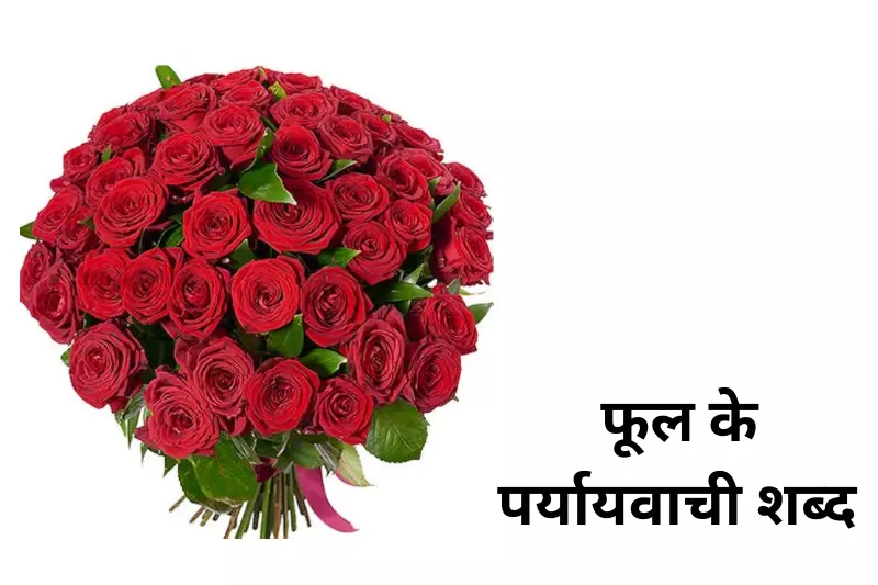 A large bouquet of vibrant red roses elegantly arranged, showcasing their rich color and lush green leaves.