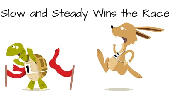 Slow And Steady Wins The Race Well Explained Essay For Students