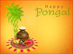 Pongal