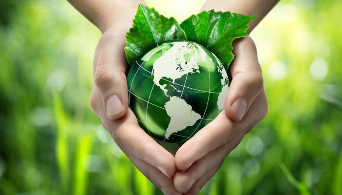 environment-day-essay-in-english-for-students-and-childrens