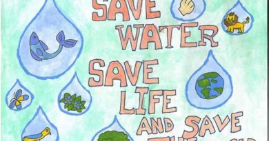 a short paragraph on save water