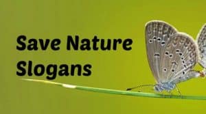 Slogans on Nature