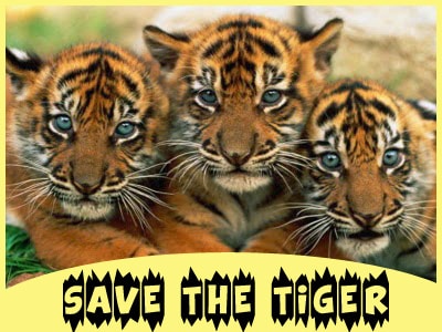 save the tiger essay