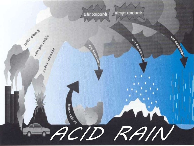 Как решить проблему кислотных дождей рисунок