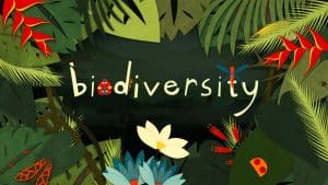 Speech On Biodiversity