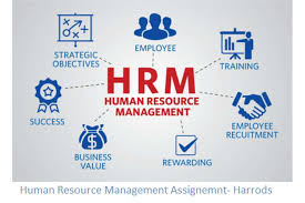 B.B.A. Human Resource Management: Course, Career, Salary, Duration, Scope